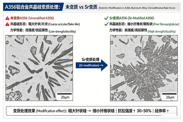Micrograph comparison: unmodified acicular silicon vs. modified fibrous silicon in A356 aluminum alloy