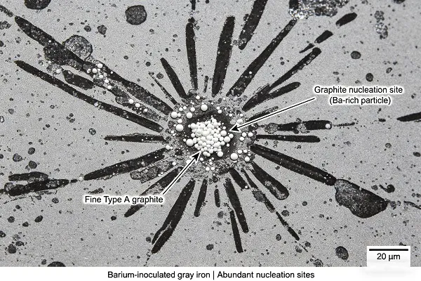 Micrograph showing abundant graphite nucleation sites in barium-inoculated gray iron