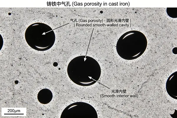 Micrograph showing rounded gas porosity cavities in cast iron with smooth interior walls