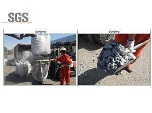 SGS inspector sampling